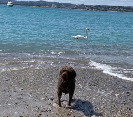 French Riviera Deluxe near Nice airport