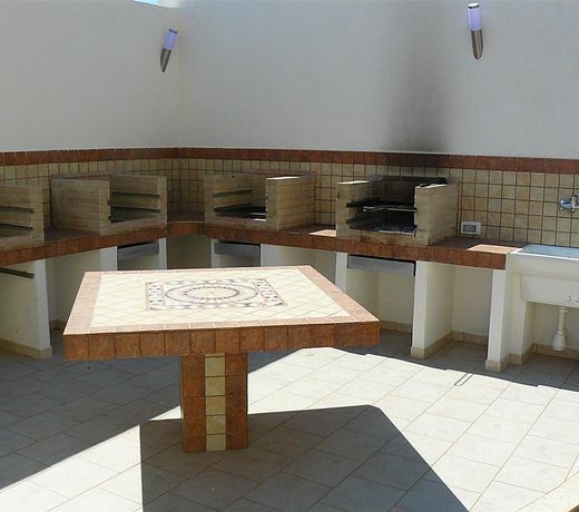 Tortuga nr.3