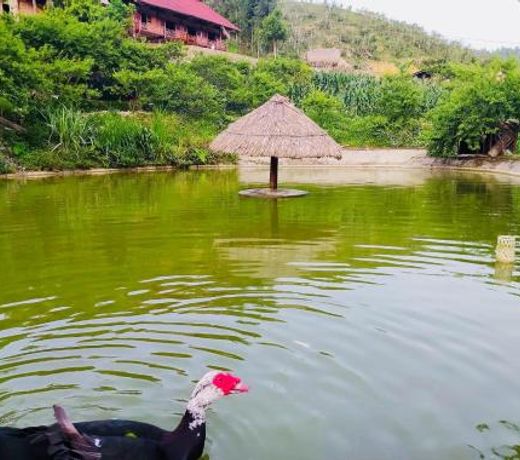 Tra Hills Homestay