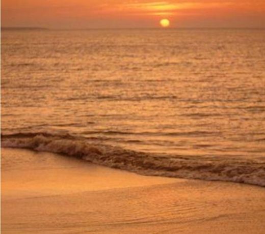 Sandy Shore