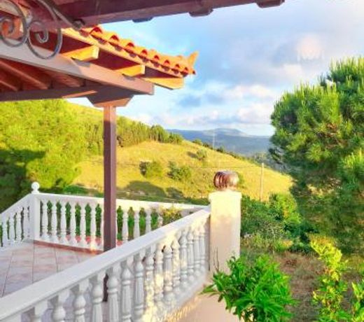 Nature Villa