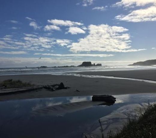 Out the Bay | Tahi (1)