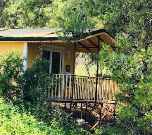Natural Bungalow