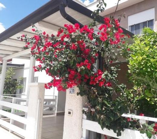 Residence Rosa