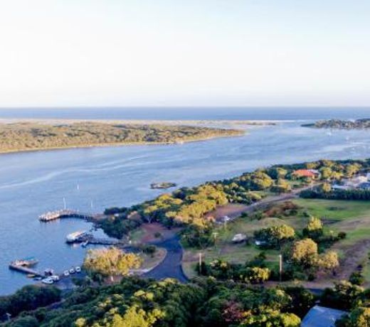 Paradise View