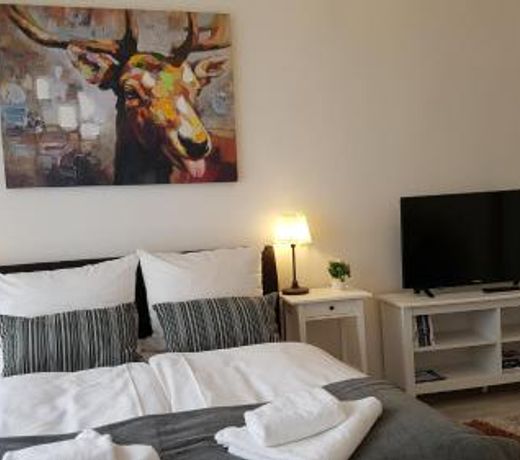 City Apartment, good location, 5 guests