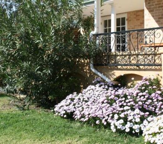 Colin's Garden