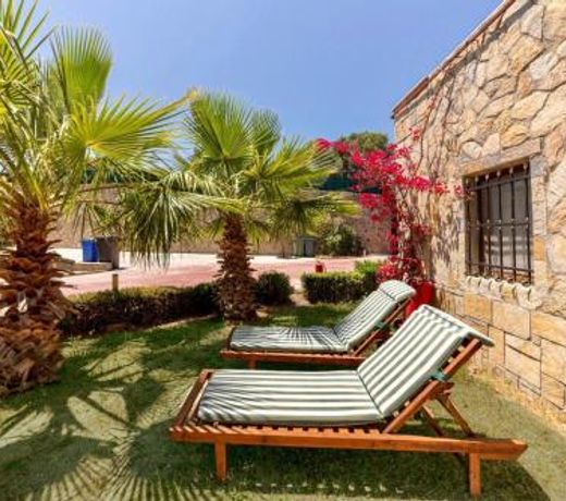 Fancy Stone house surrounded by Palm Trees and Shared Pool