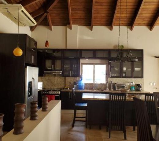 Susy Penthouse