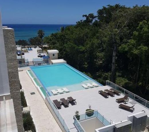 Susy Penthouse
