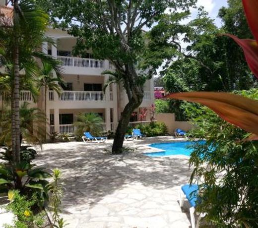 Hispaniola Sol C4