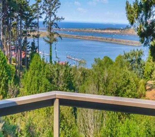 The River View House