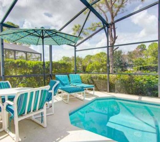 Privacy Bush Around Pool! Home