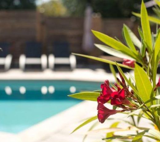 Villa provencale avec piscine entre Nice et Antibes