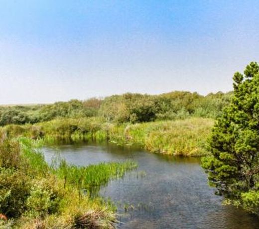 2 Bed 1 Bath Vacation home in Gold Beach