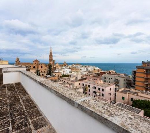 BLU Monopoli