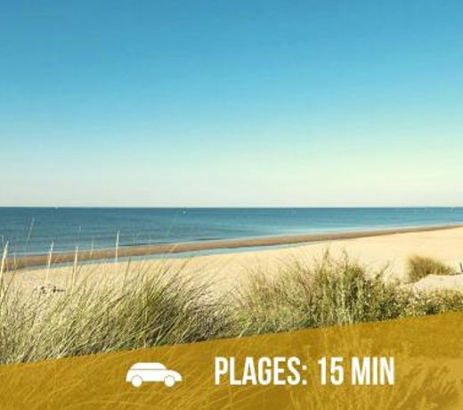 Le Saint Roch-Centre-Free Parking-Clim