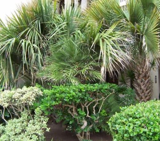 Beachside Condo 2 Bedroom Sleeps 9