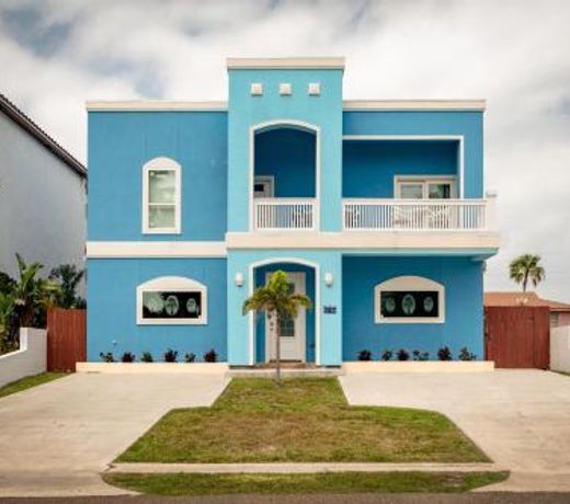 Blue Dolphin
