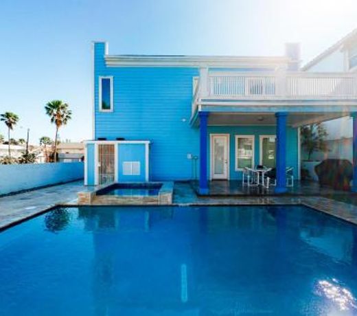 Blue Dolphin