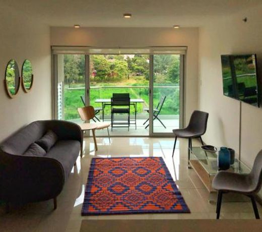 Two BR apartment with resplendent view