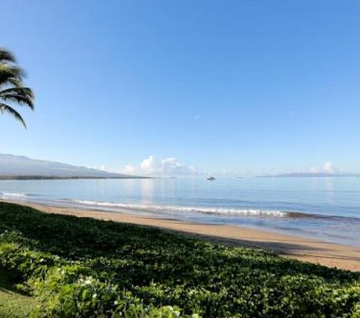 Sugar Beach Resort PH 14