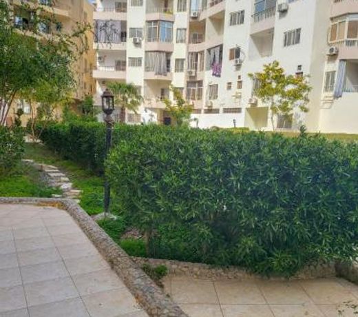 Apartments 1000 and 1 night RedSeaLine