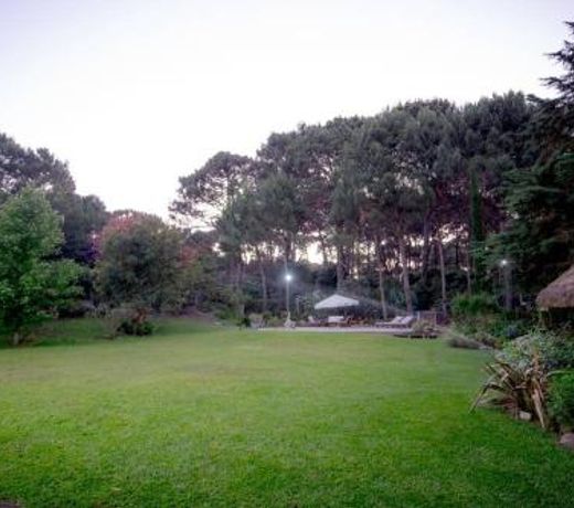 Punta Ballena, Solanas, cabana