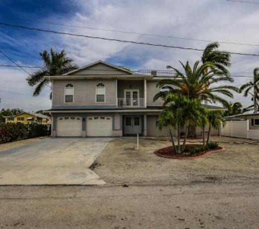 244 Flamingo