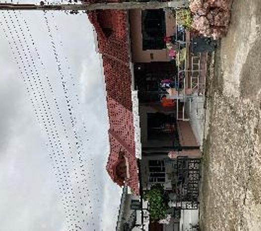 Homestay