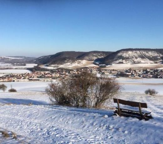 Ferienwohnung Saaletalblick