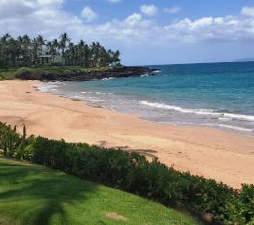 Wailea Elua #2110