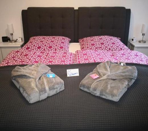 Boutique-Apartment-Scherer