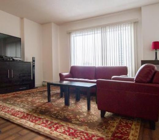 Executive Downtown Core Icon