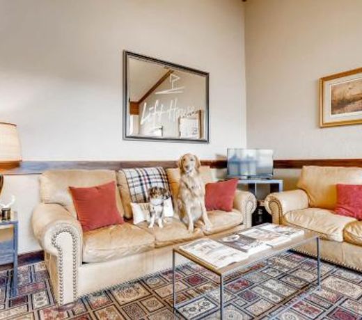 Lifthouse Lodge - Studio Condo