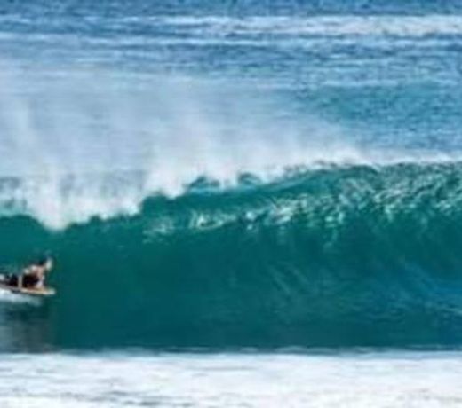 Forster Holiday Apartment
