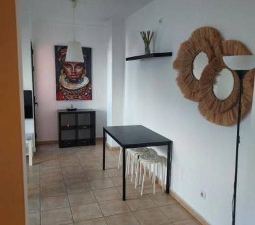 Apartamento Aloe vera