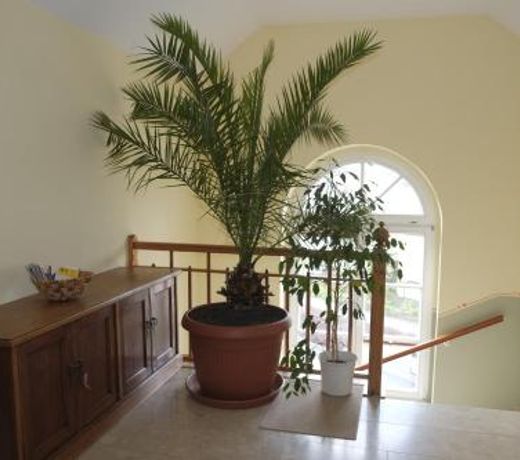 Gastewohnung Elstrom