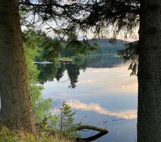 Ferienhaus Juster im Wald