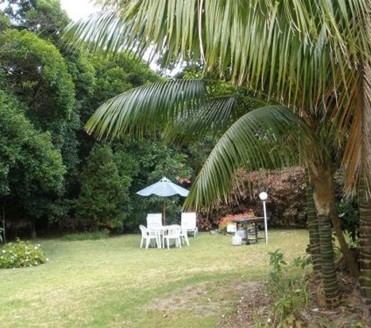 The Broken Banyan