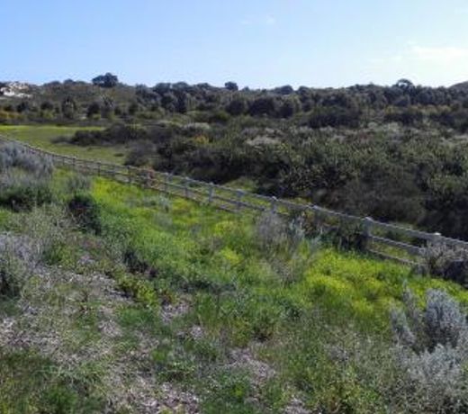 Alkimos Beach Retreat