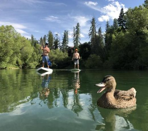 The Alpine Oasis
