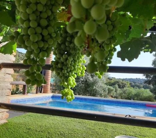 Casa Rural Bellavista Ronda