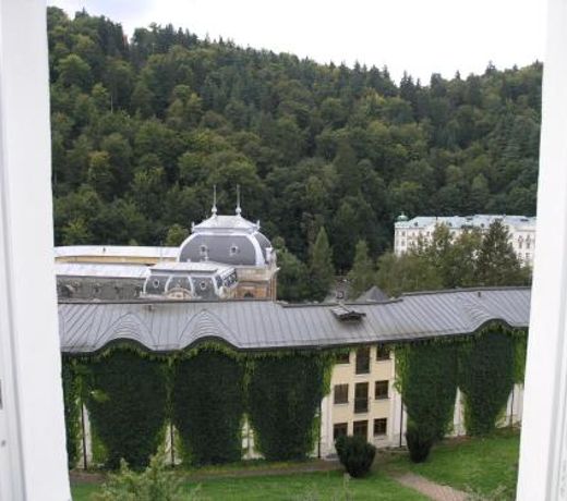 Apartman LUX Skroupova