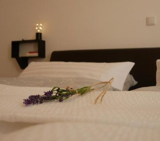 Ferienwohnung gunstig mieten