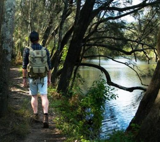 Discovery Parks - Lane Cove