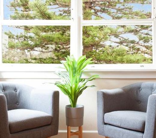 2-Bedroom Manly Hideaway with Direct Lagoon Access