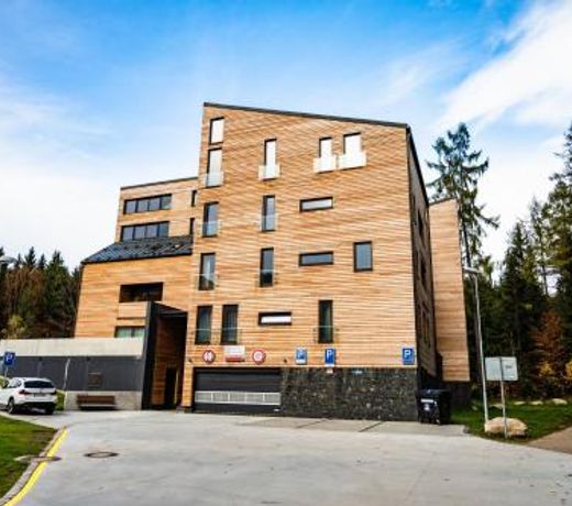 Apartment Mumlava Harrachov 5
