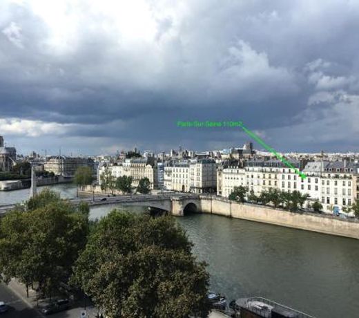 Paris-sur-seine-chez-caroline