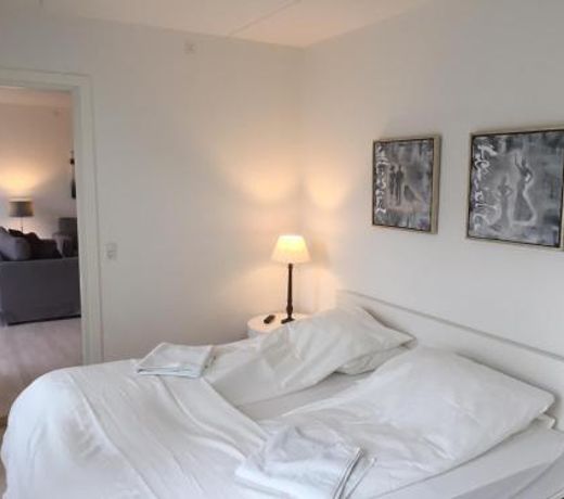 CITY, LUX APARTM - 2 FULL BATHROOMs, 1v